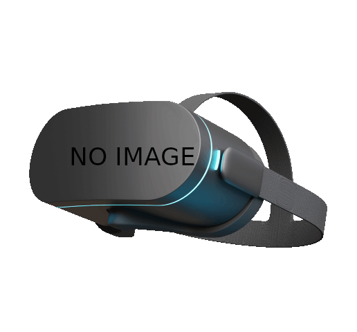 SanDisk SDXC 512GB SDSDXXD-512G-GN4IN